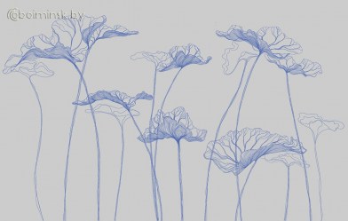 Фотообои De-Art  Листья лотоса